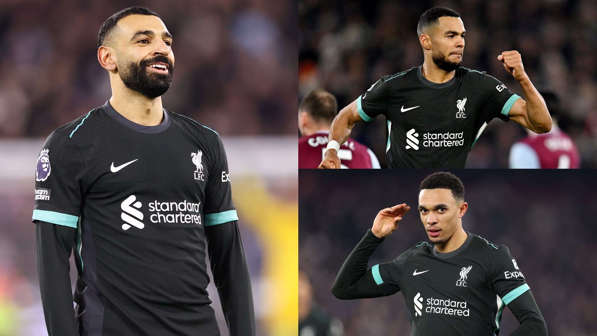 供了更广泛 供了更广泛