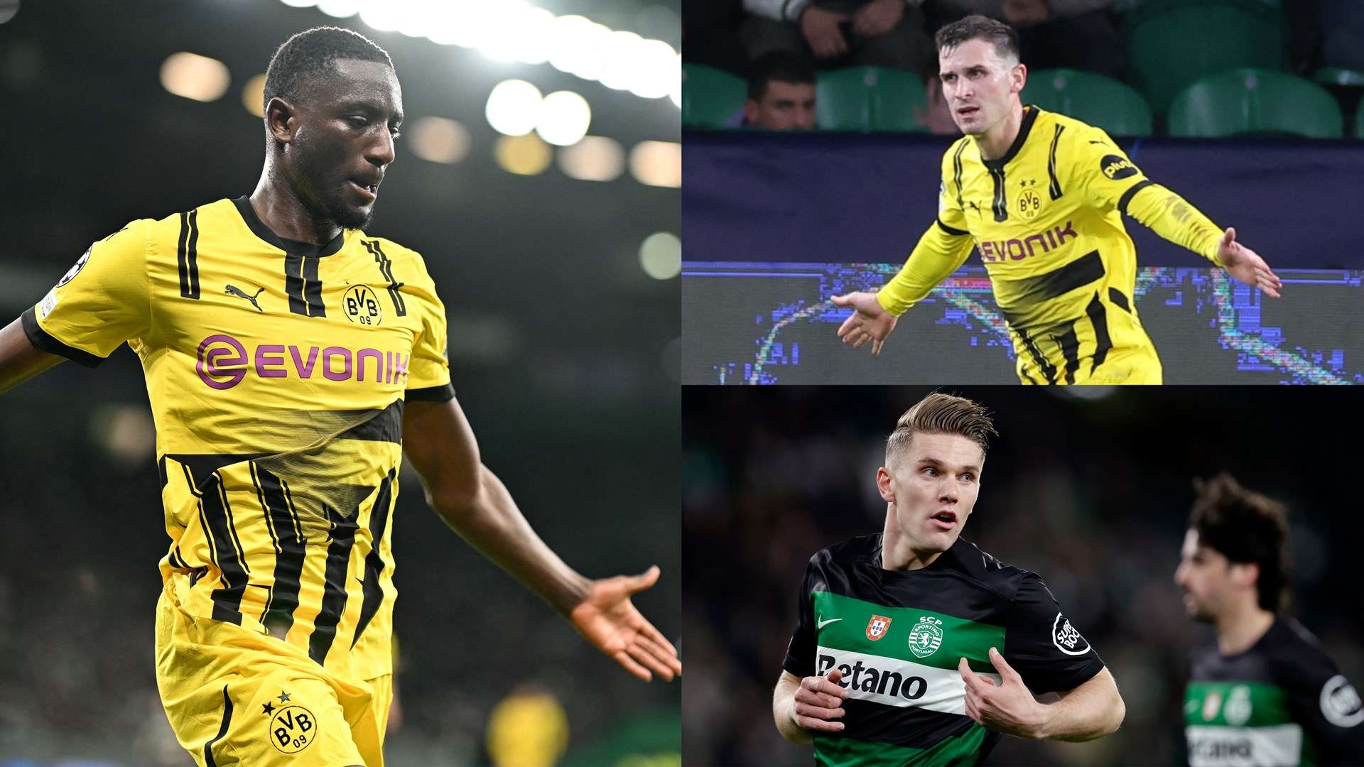 也体现了青 也体现了青